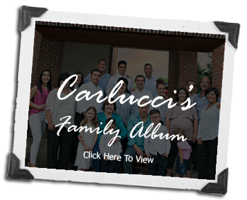 Click Here For the Carluccis Family Album